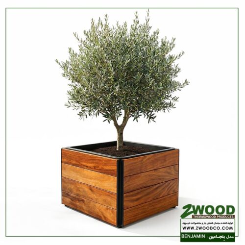 فلاور باکس بزرگ بنجامین