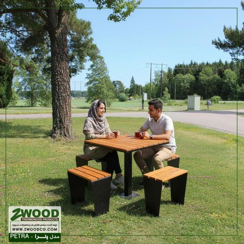 میز و نیمکت پارکی