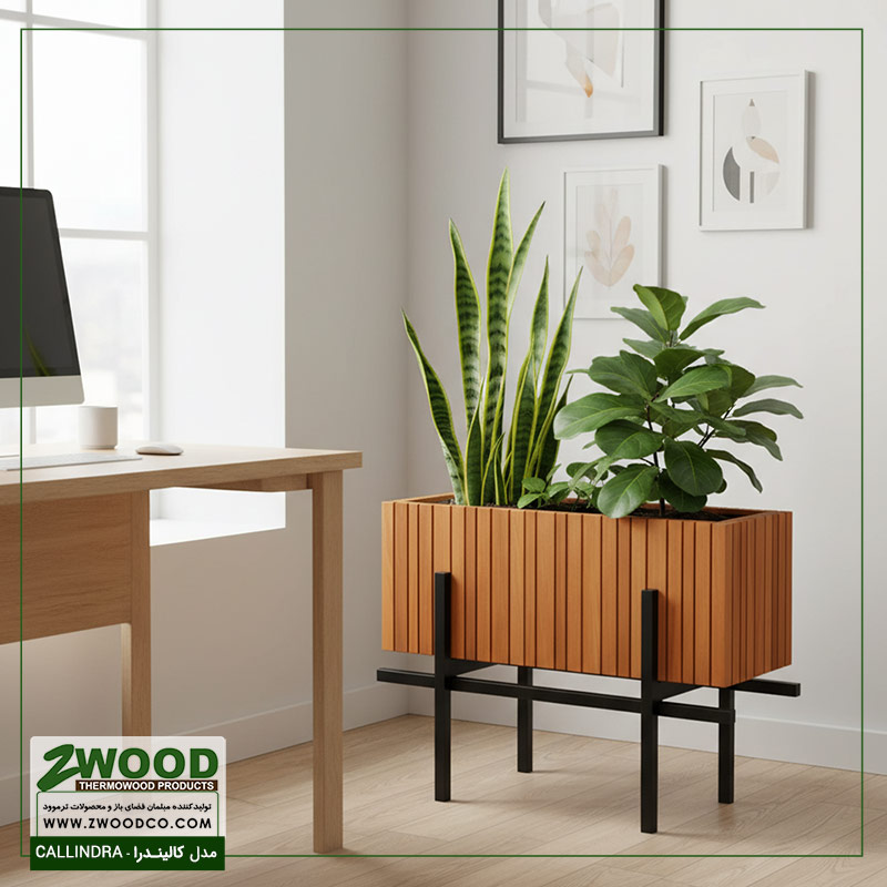 فلاور باکس کالیندرا فلاور باکس کالیندرا