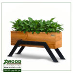 خرید گلدان هدیه لوکس_کاکتوس