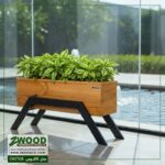 گلدان لوکس برای هدیه_کاکتوس