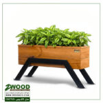 گلدان هدیه خاص_کاکتوس