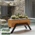 گلدان هدیه لوکس طبیعی_کاکتوس