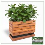 گلدون برای افتتاحیه